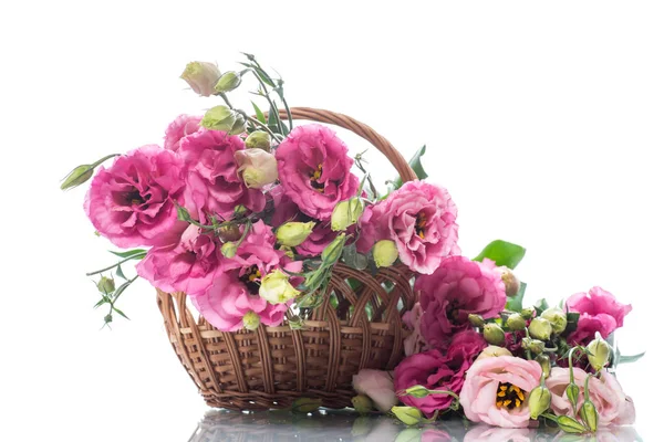 Beau bouquet de fleurs de lisianthus roses — Photo