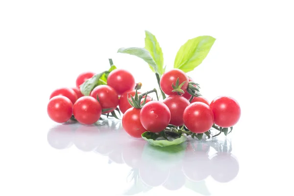 Čerstvé organické cherry rajčata — Stock fotografie