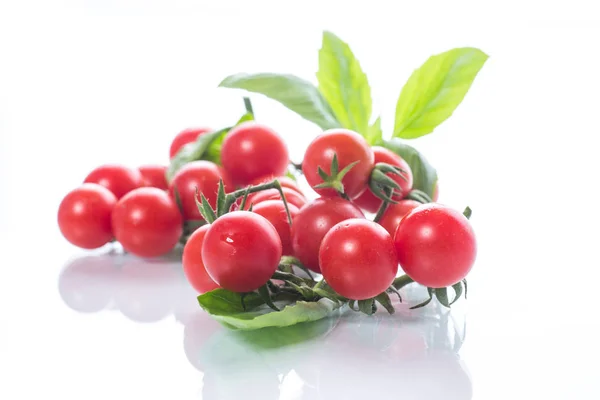Tomates cereja orgânicos frescos — Fotografia de Stock