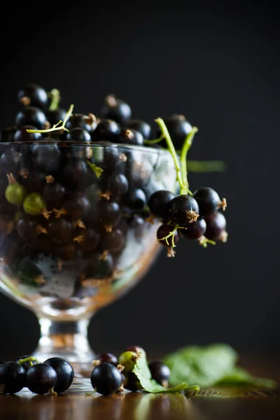Черная смородина в стеклянной чаше — стоковое фото