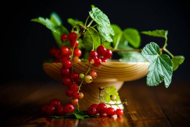 taze kırmızı kuş üzümü