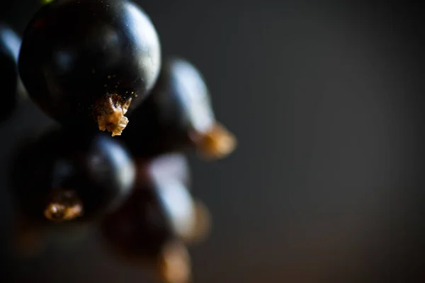 Berry rijpe zwarte bessen — Stockfoto