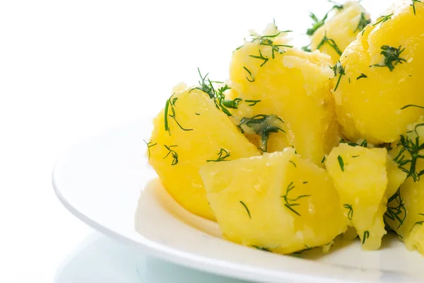 Варена картопля з кропом у тарілці — стокове фото