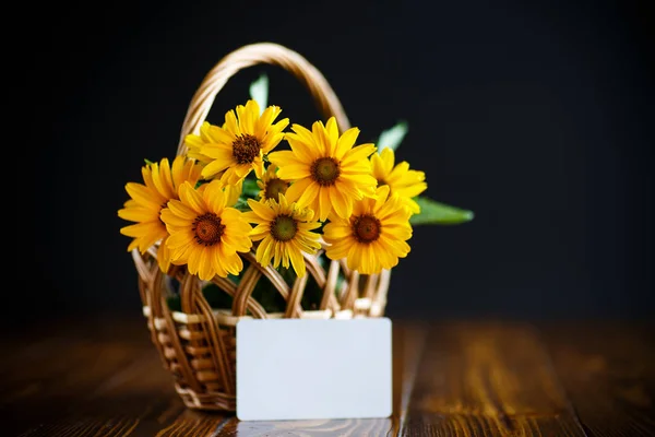 Bouquet de marguerites jaunes — Photo