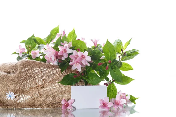 Hermosas flores Weigela — Foto de Stock