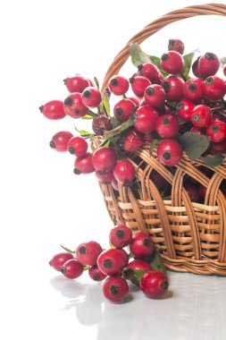 hasır sepet olgun kırmızı köpek gül ile dolu