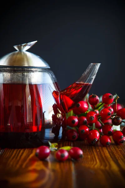 Rose hip tea — Stock Photo, Image