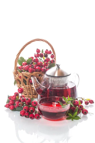 Rose hip tea — Stock Photo, Image