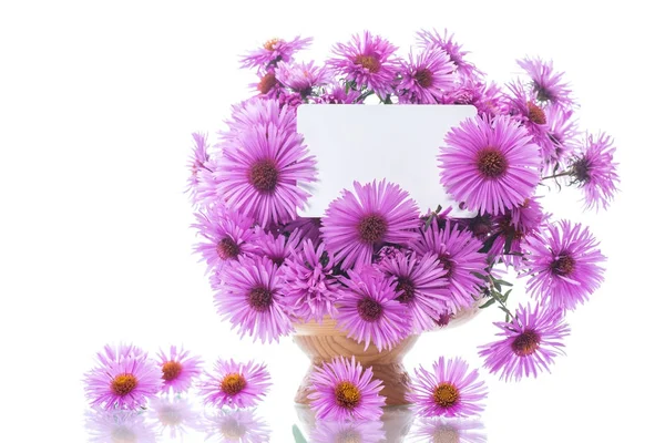 Bouquet of beautiful purple chrysanthemums — Stock Photo, Image