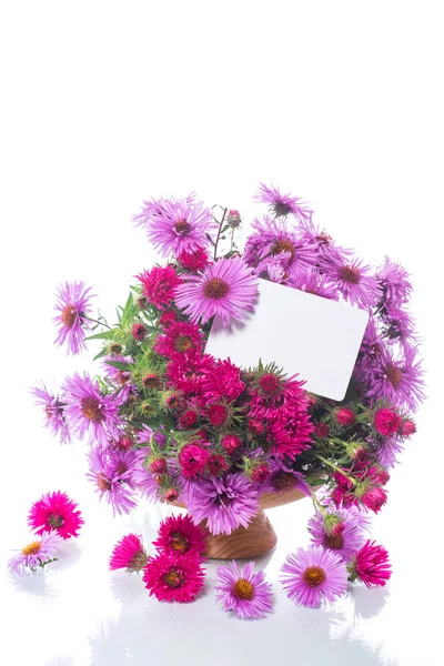 Bouquet di bellissimi crisantemi viola — Foto Stock