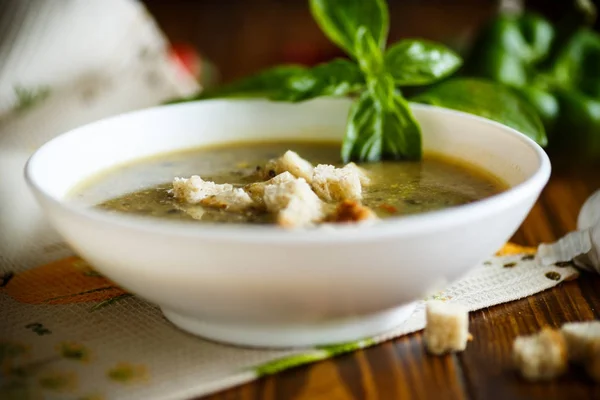 Puré de sopa de varias verduras y setas —  Fotos de Stock