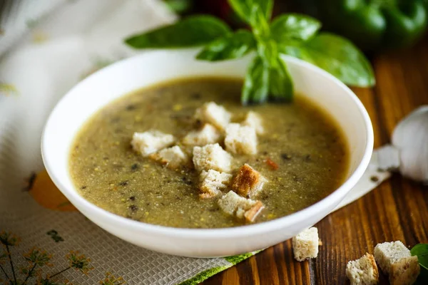 Purê de sopa de vários legumes e cogumelos — Fotografia de Stock