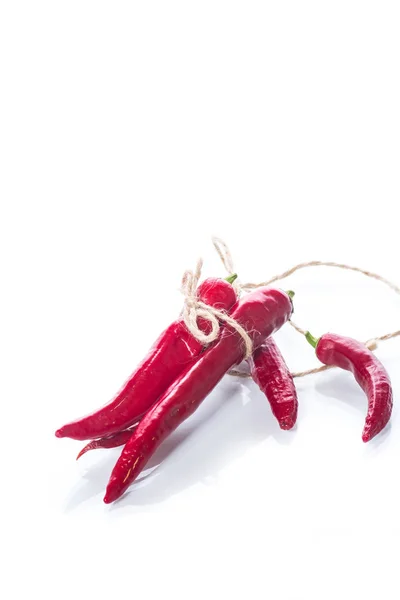 Red hot chilli pepper — Stock Photo, Image