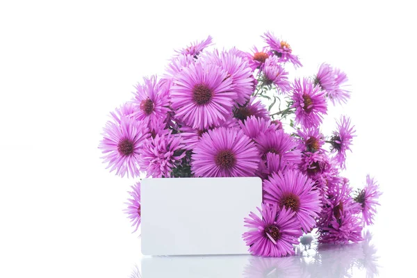 美丽的紫色菊花的花束 — 图库照片