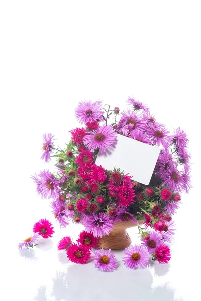 Bouquet of beautiful purple chrysanthemums — Stock Photo, Image