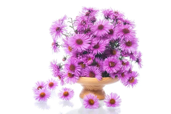 Bouquet of beautiful purple chrysanthemums — Stock Photo, Image