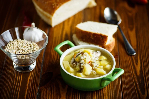 Куриный суп с жемчужным ячменем в миске — стоковое фото