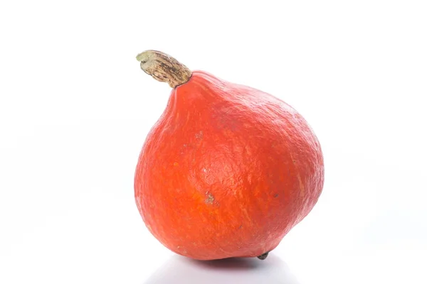 Whole ripe orange pumpkin — Stock Photo, Image