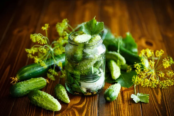 Ecetes uborka, gyógynövények és fűszerek — Stock Fotó