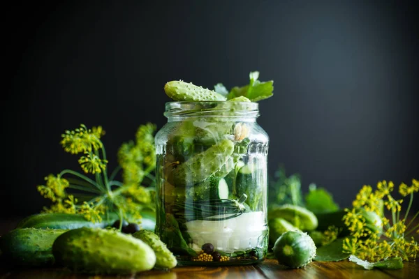 Gepekelde komkommers met kruiden en specerijen — Stockfoto