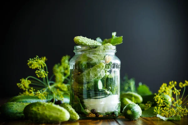 Pepinos em conserva com ervas e especiarias — Fotografia de Stock