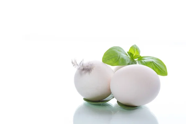 Tiga telur ayam dengan setangkai kemangi — Stok Foto