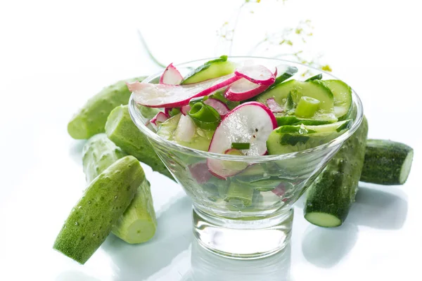 Fresh salad with cucumber and radish — Stock Photo, Image