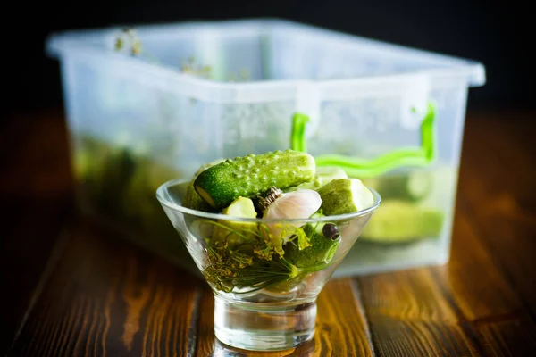 Concombres marinés dans un bol en verre — Photo