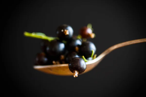 Berry mogna svarta vinbär — Stockfoto