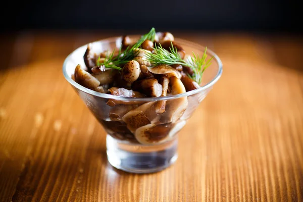 양파와 절인된 버섯 로열티 프리 스톡 사진