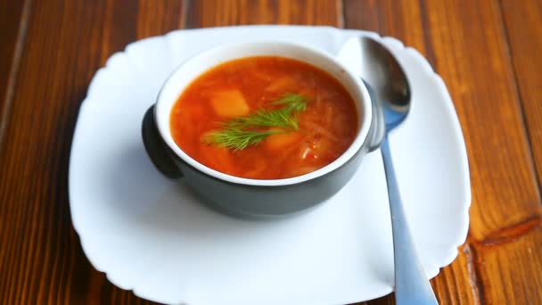 Sopa caliente fresca con verduras y remolacha — Vídeo de stock