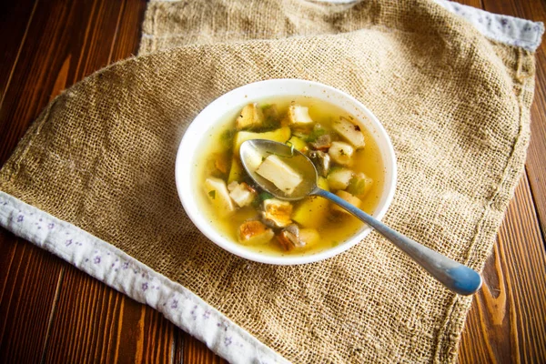 Fresh vegetable soup with forest mushrooms — Stock Photo, Image