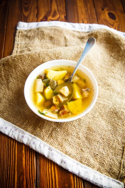 Sopa de legumes frescos com cogumelos florestais — Fotografia de Stock