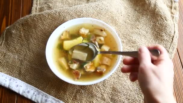 Свіжий овочевий суп з лісовими грибами — стокове відео