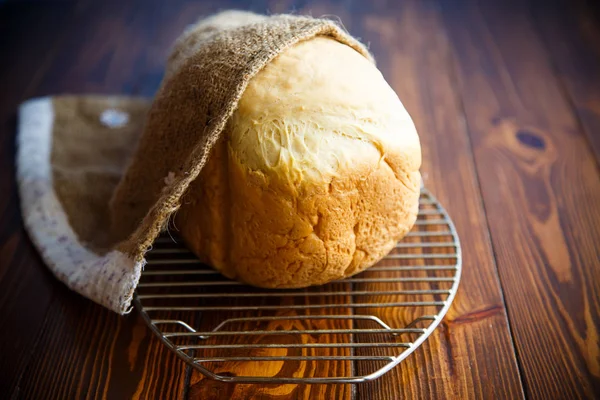 Färskt hembakat bröd — Stockfoto