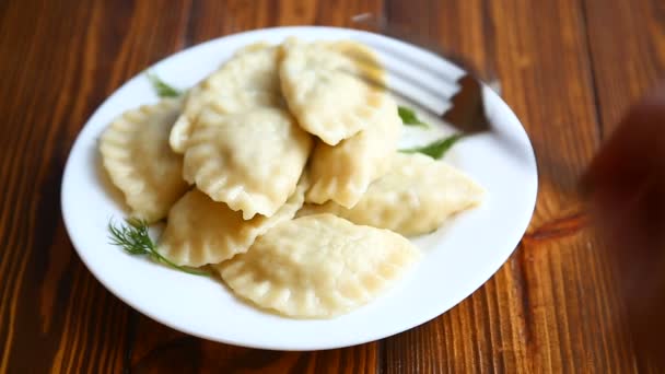 Boiled dumplings stuffed — Stock Video