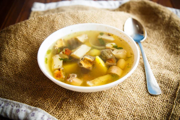 Fresh vegetable soup with forest mushrooms — Stock Photo, Image