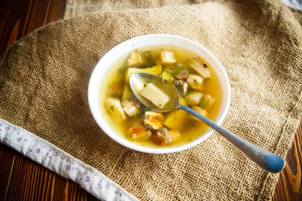 Fresh vegetable soup with forest mushrooms — Stock Photo, Image