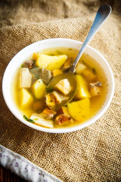 Sopa de verduras frescas con champiñones — Foto de Stock