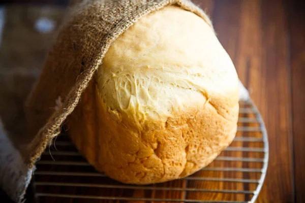 Färskt hembakat bröd — Stockfoto