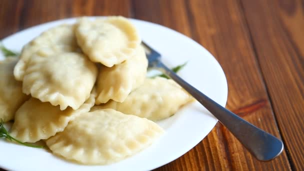 Kokt dumplings fyllda — Stockvideo