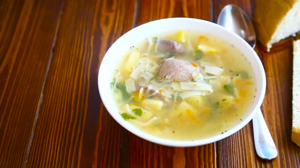 プレートと鍋の温かいスープ — ストック動画