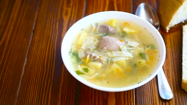 Soupe chaude dans une assiette et une casserole — Video