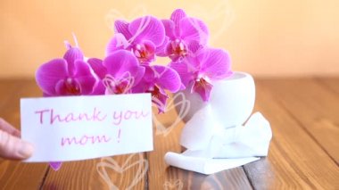 güzel Phalaenopsis orkide çiçekler