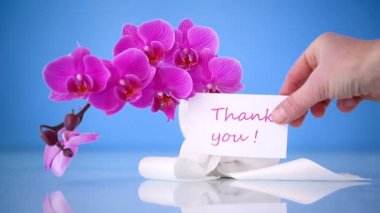 Orkide ile tebrik kartı