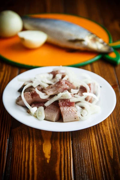 Herring salad with onion — Stockfoto