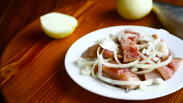 Ensalada de arenque con cebolla — Vídeo de stock