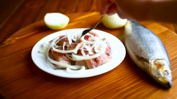 Herring salad with onion — Stock Footage Herring salad with onion Stock Footage