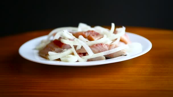 Ensalada de arenque con cebolla — Vídeos de Stock