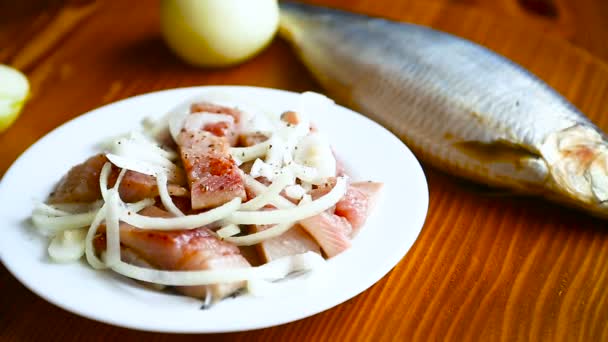 Ensalada de arenque con cebolla — Vídeo de stock